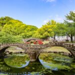 目とフェルデンクライス